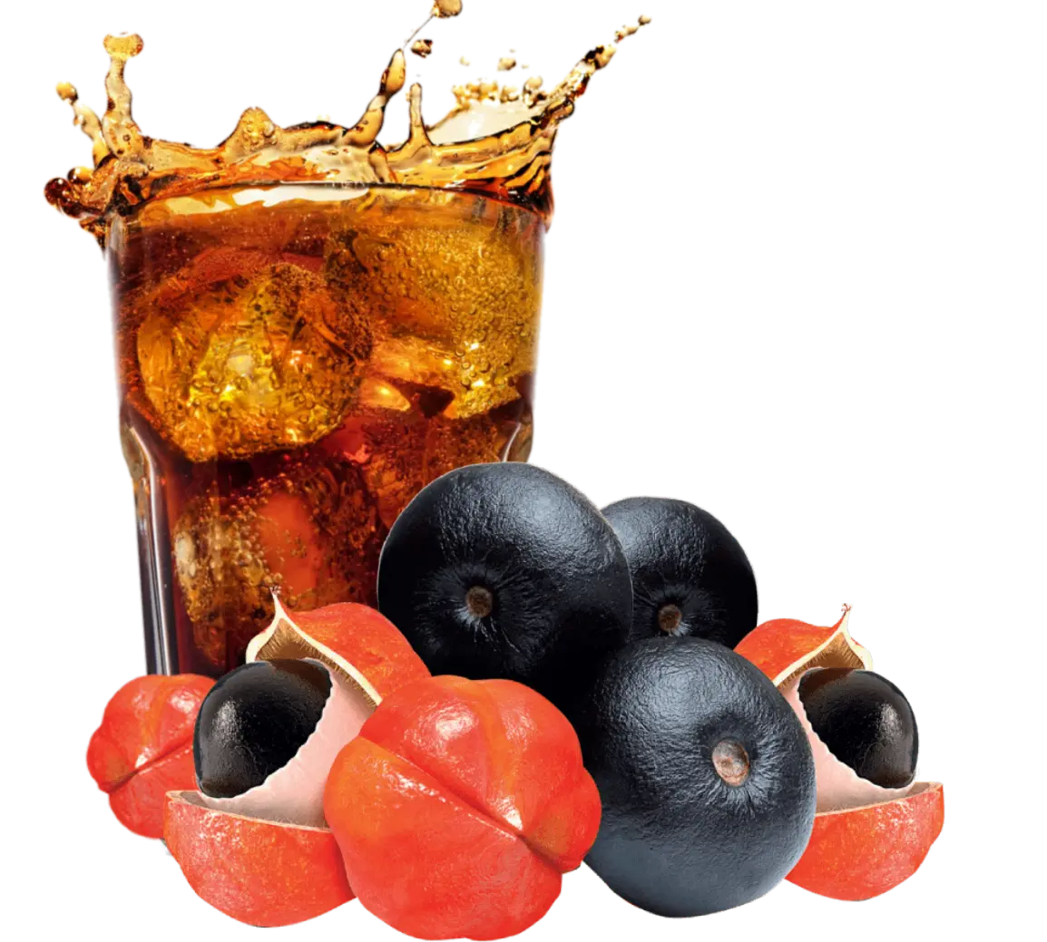 Soluções InterAmericas Beverages para a indústria de bebidas